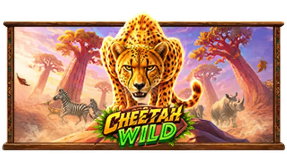 Cheetah Wild: 이 슬롯 기능 가이드를 식별하는 아트워크