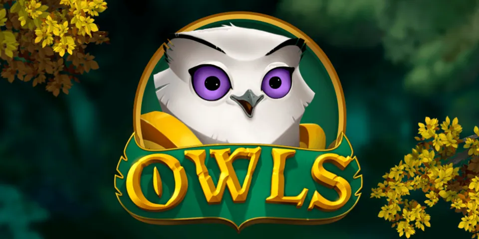 Nolimit City의 Owls 슬롯 데모 썸네일